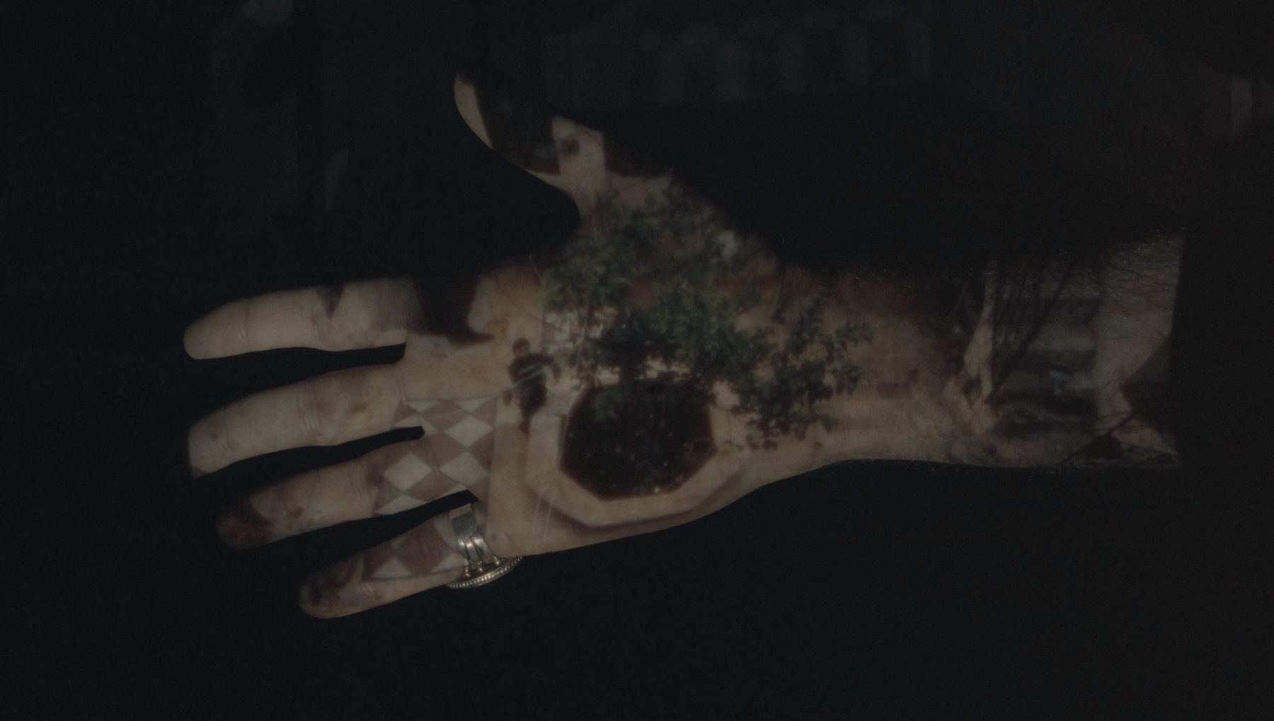 A hand with a silver ring, a sunlit courtyard with tiled floor and a tree projected across it.