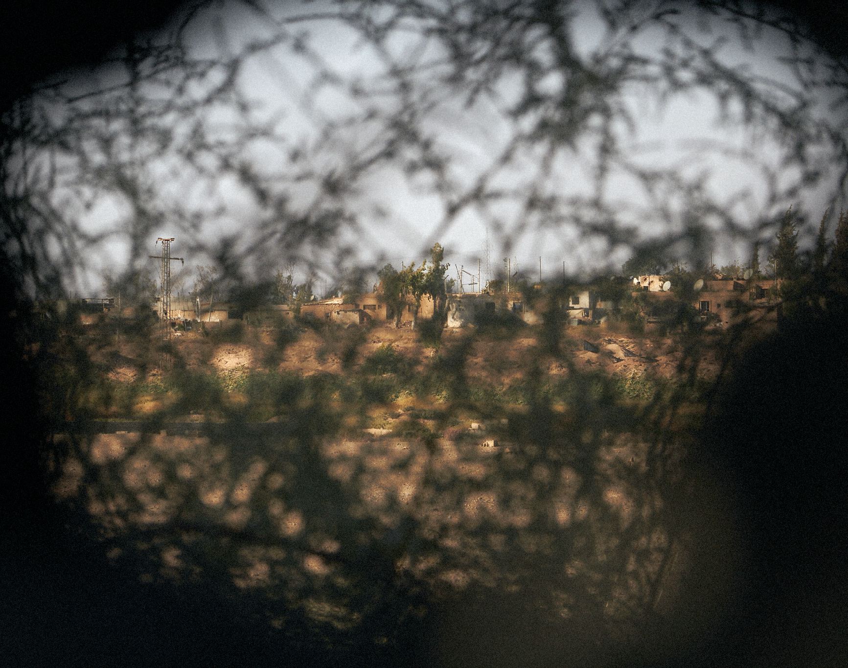 A town seen through a tangle of thorny branches, dark at the edges like a lens.